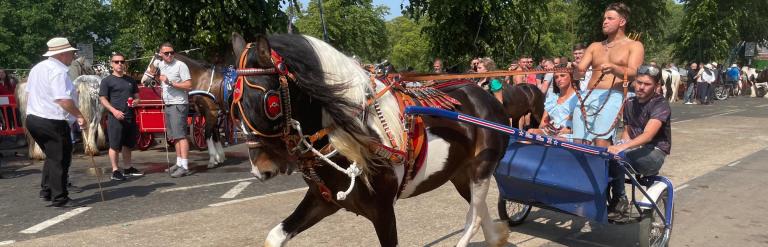 Appleby Horse Fair 2023