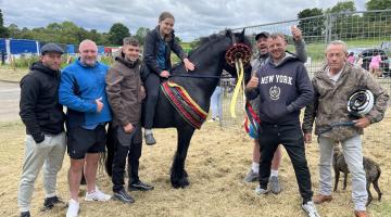People's Champion Hose at Appleby Horse Fair 2024