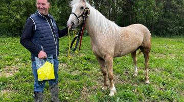 Best at Appleby 2025 Award winner - Pandora and owner Mark