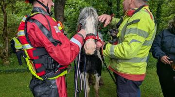Horse rescued by Cumbria Fire and Rescue 2026